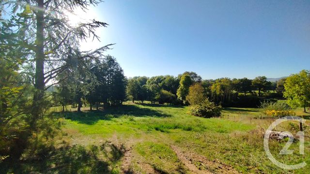 terrain - RIORGES - 42