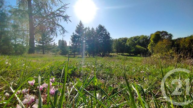 terrain - ST LEGER SUR ROANNE - 42