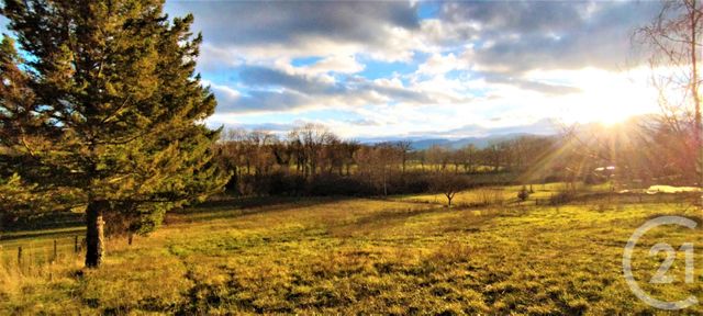 terrain - ST LEGER SUR ROANNE - 42
