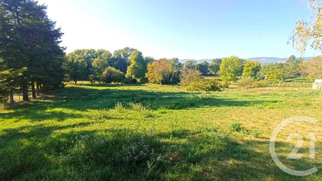 terrain à vendre - 4000.0 m2 - ST LEGER SUR ROANNE - 42 - RHONE-ALPES - Century 21 Cabinet Pillet