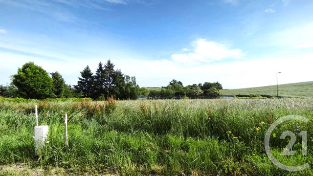 terrain - CORDELLE - 42